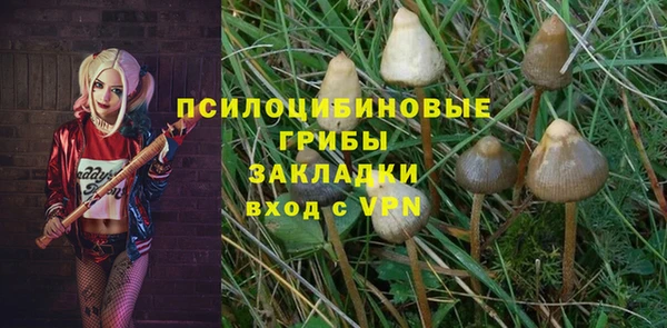 ГАЛЛЮЦИНОГЕННЫЕ ГРИБЫ Балабаново