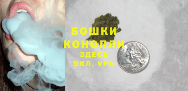 прущие грибы Баксан