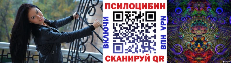 купить  цена  Галич  Галлюциногенные грибы ЛСД 